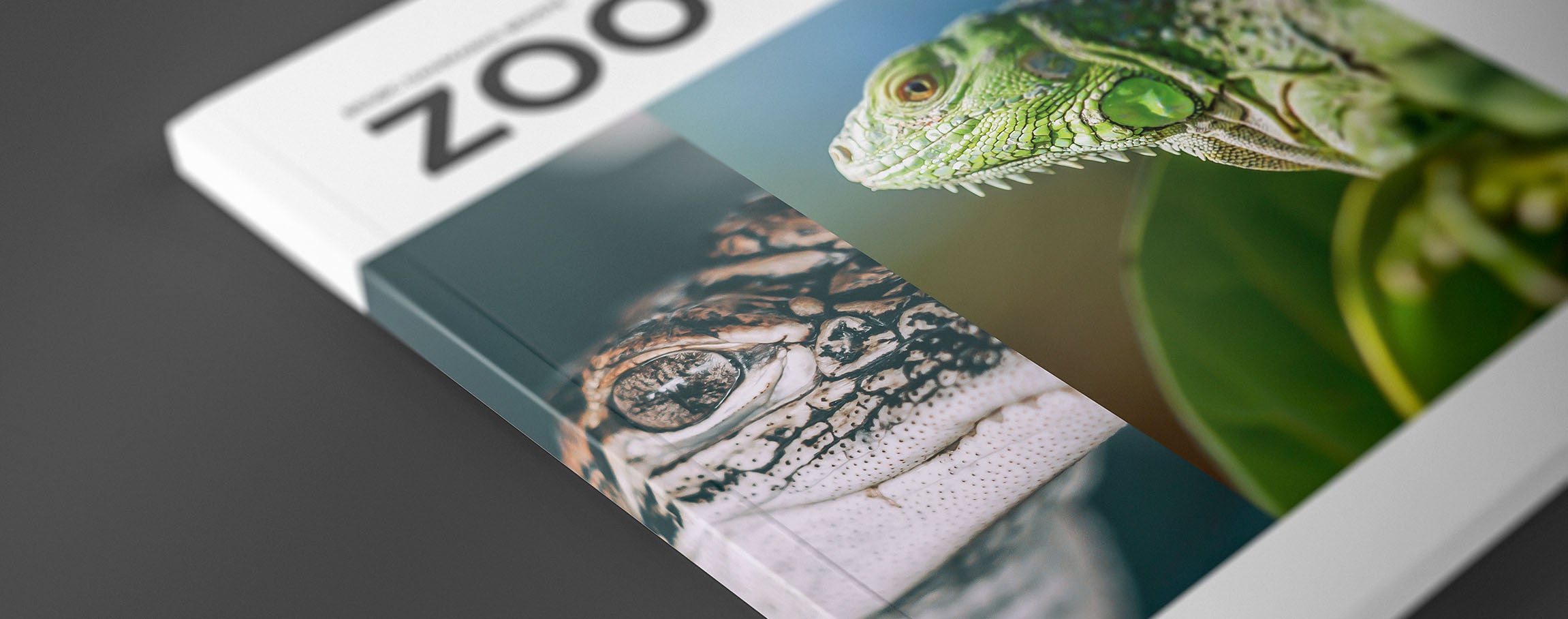 Vi hjælper med at sætte din grafik op gratis