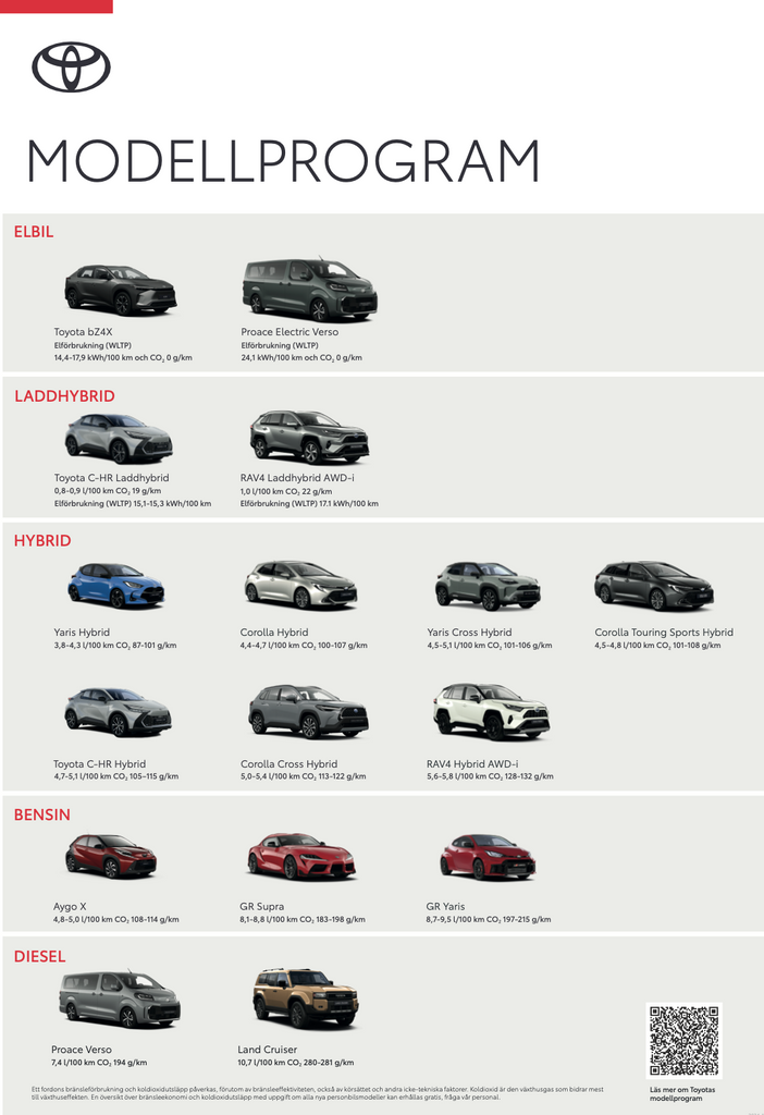 TOY_MODELLPROGRAM_Poster_70X100