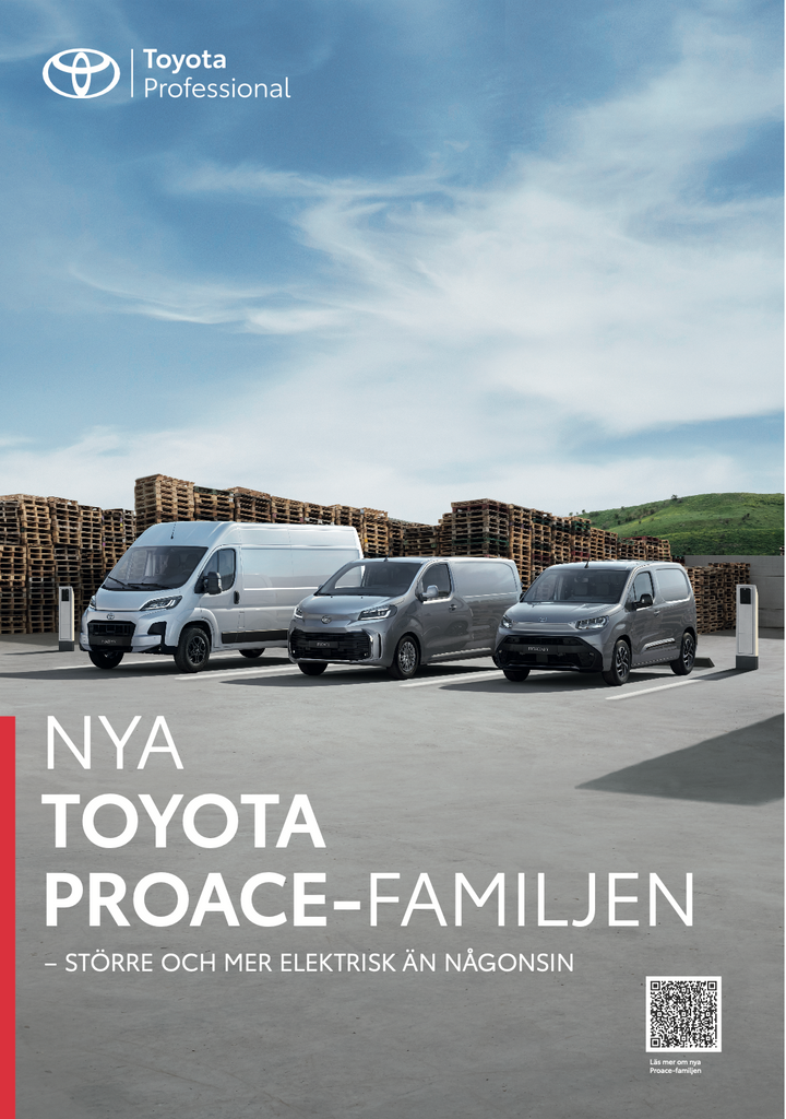 TOY_PRO_Poster_70X100