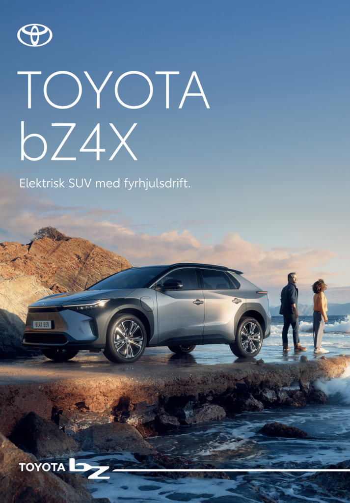 TOY_bZ4X_Poster_70X100