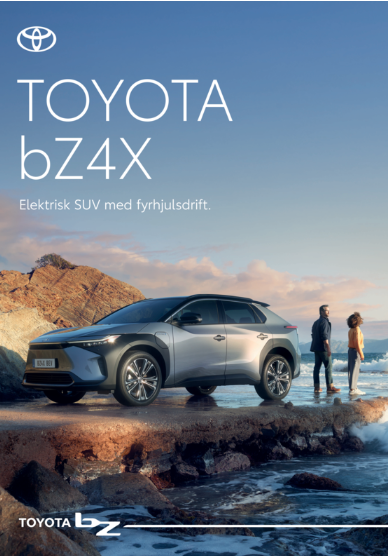 bZ4X_Poster_70X100