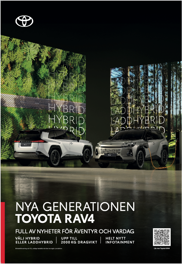 TOY_RAV4_Duo_Poster_70X100