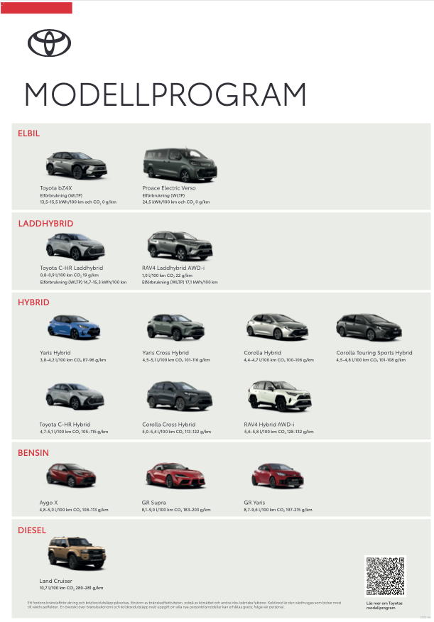 TOY_MODELLPROGRAM_Poster_70X100_250624